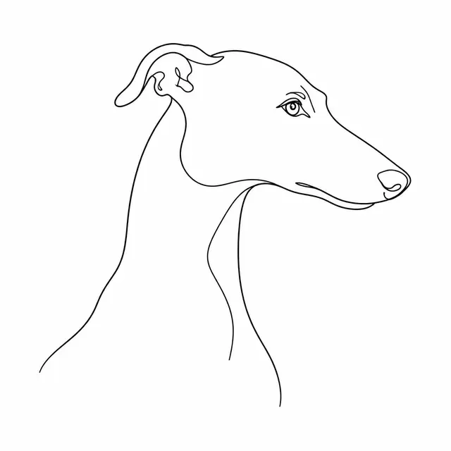 Minimal fine-line ink portrait sample of a dog